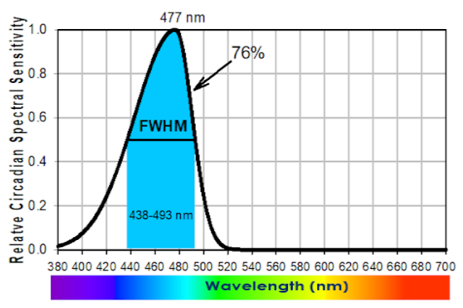Circadian Potency Spectrum with Extended Exposure to Polychromatic White LED Light Under Workplace Conditions